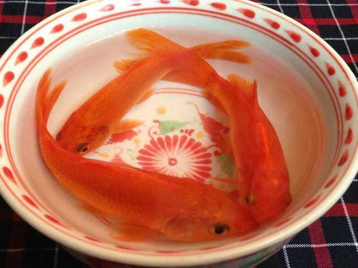 Lễ cúng ông Công ông Táo