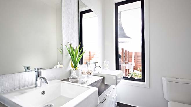 Trồng cây lưỡi hổ trong nhà tắm - phong thủy cây lưỡi hổ