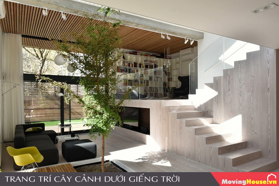 Trang trí cây cảnh dưới giếng trời trong nhà