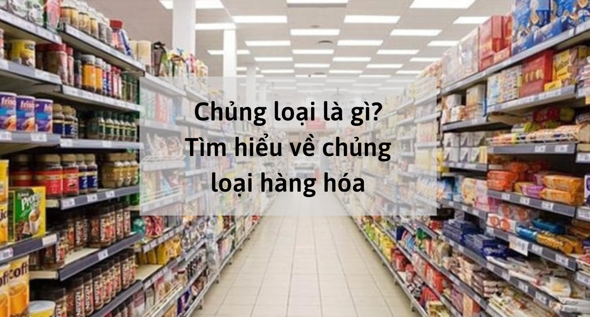 Chủng loại hàng hóa là gì?