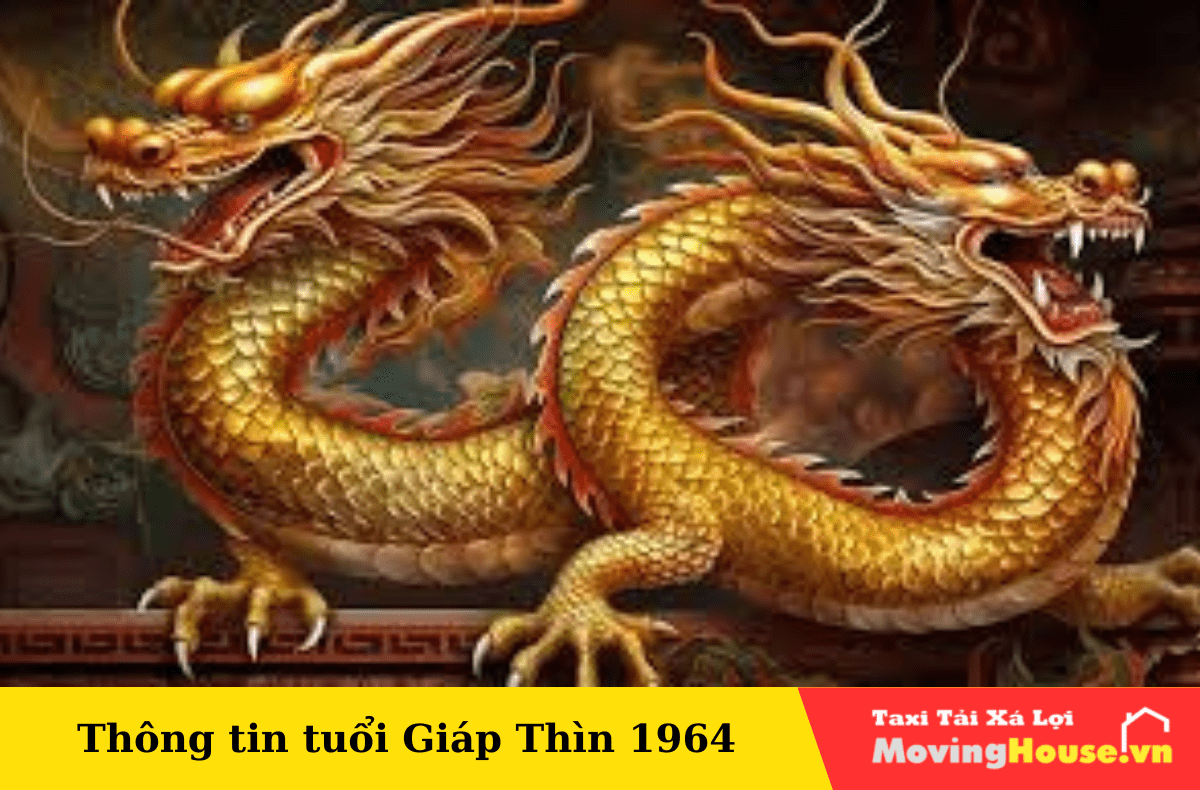 Thông tin tuổi giáp thìn năm 1964