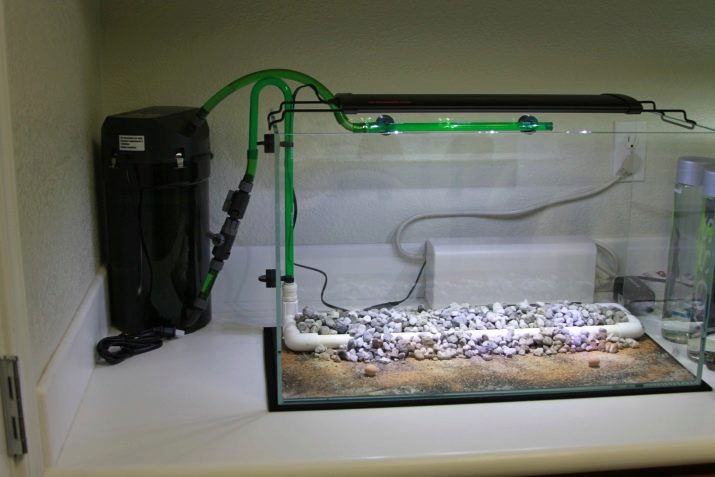 Cách vận chuyển bể thủy sinh khi Kubet