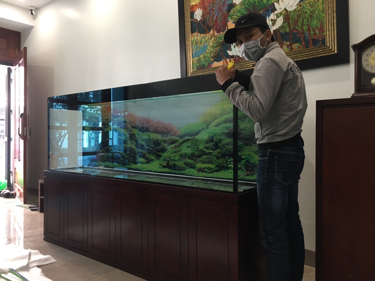 Vì sao vận chuyển bể thủy sinh quan trọng với gia chủ